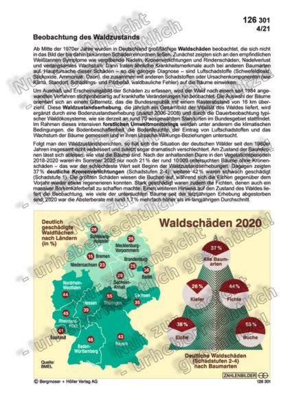 Beobachtung des Waldzustands