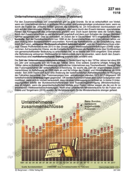 Unternehmenszusammenschlüsse