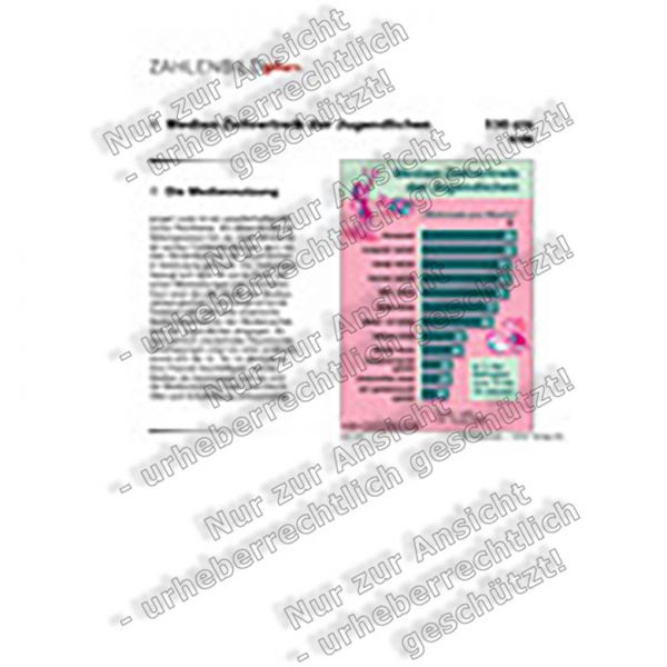 Medien-Zeitvertreib der Jugendlichen