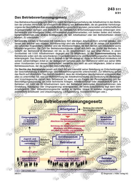 Das Betriebsverfassungsgesetz