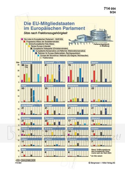 Die EU-Mitgliedstaaten im Europäischen Parlament (Bild)