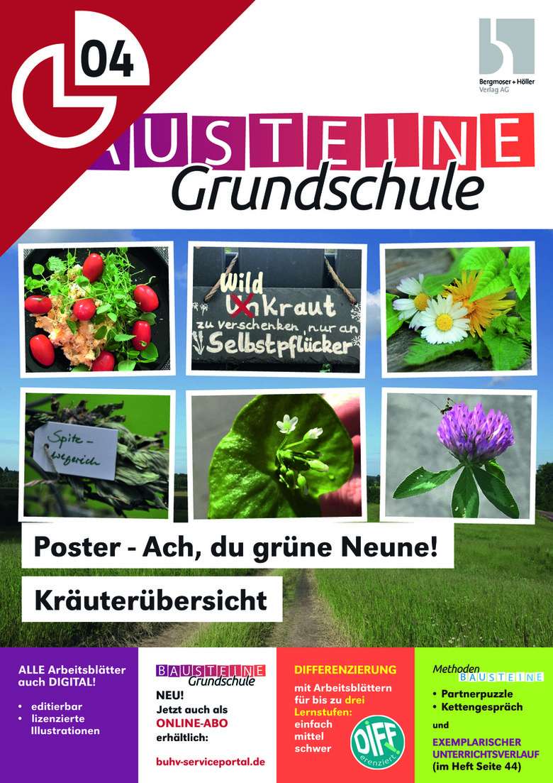 Poster Ach, du grüne neune! Kräuterübersicht Bausteine Grundschule Deutsch Grundschule