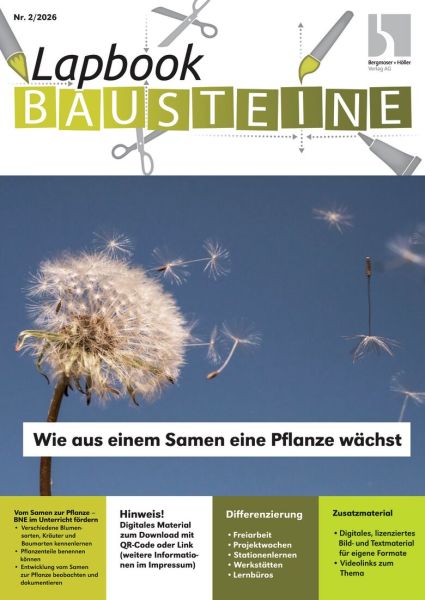 Wie aus einem Samen eine Pflanze wächst