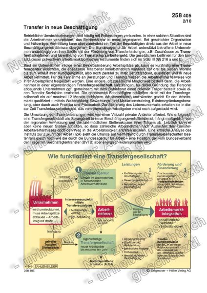 Transfer in neue Beschäftigung