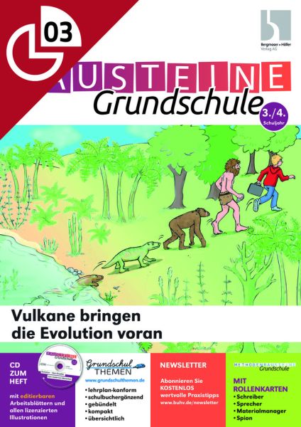 Vulkane bringen die Evolution voran