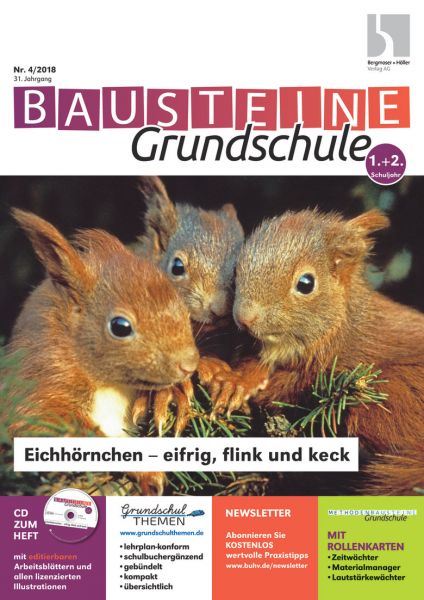 Eichhörnchen - eifrig, flink und keck