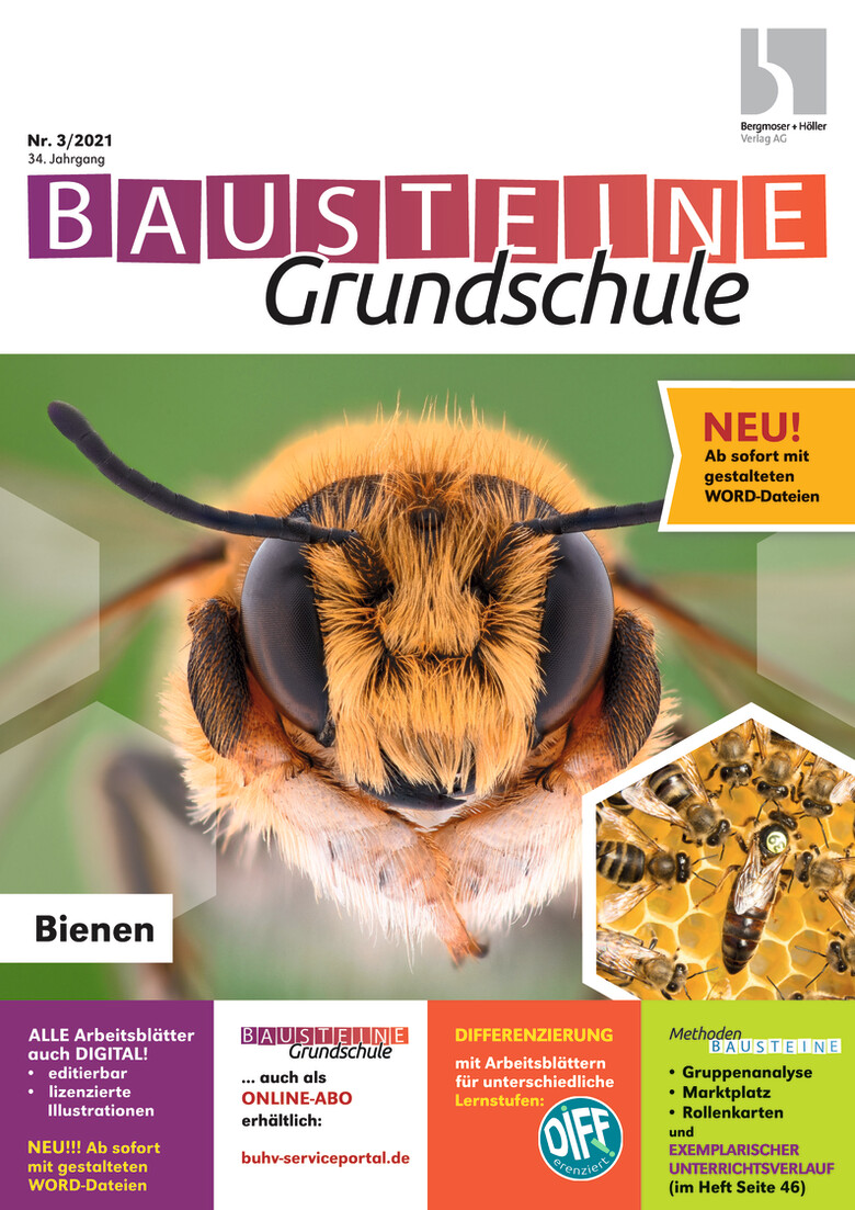 Rechtschreibung Bienenbuch