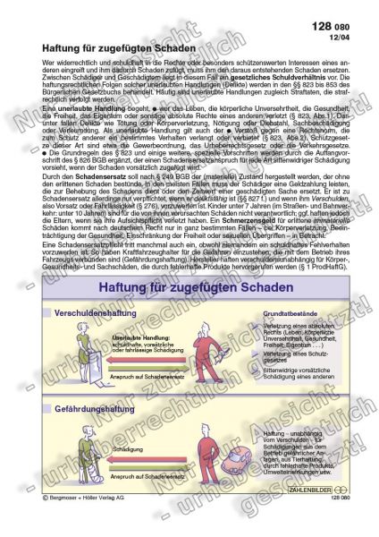 Haftung für zugefügten Schaden