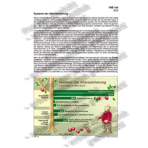 Systeme der Alterssicherung