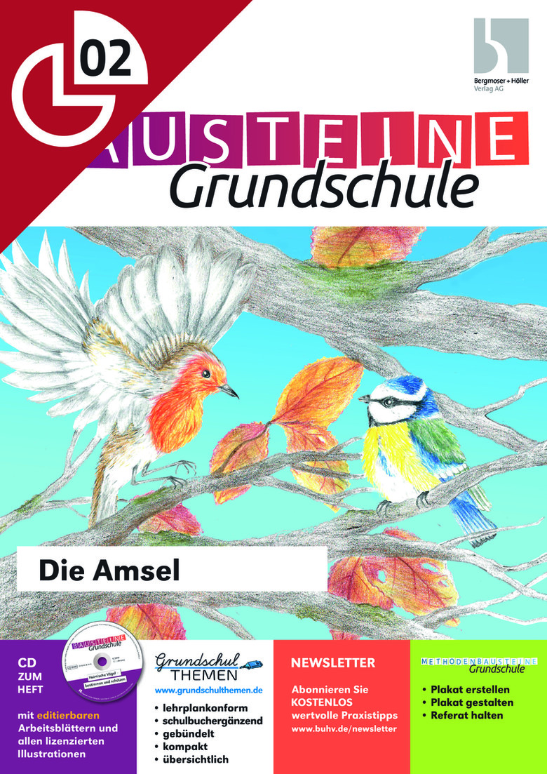 Die Amsel Bausteine Grundschule Sachunterricht Grundschule Arbeitsblatter Online