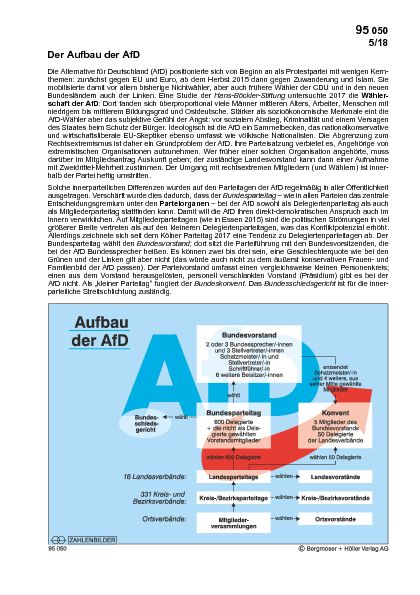 Der Aufbau der AFD