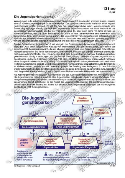 Die Jugendgerichtsbarkeit