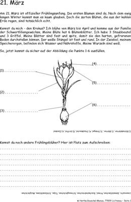Frühlingsanfang - 21. März