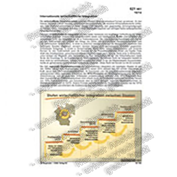 Internationale wirtschaftliche Integration