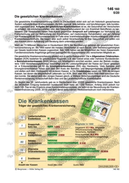 Die gesetzlichen Krankenkassen
