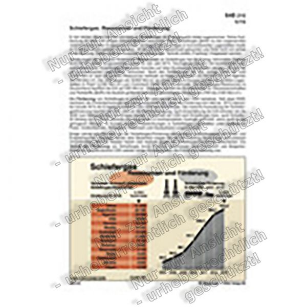 Schiefergas: Ressourcen und Förderung