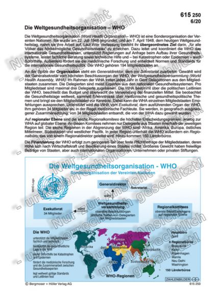 Die Weltgesundheitsorganisation - WHO