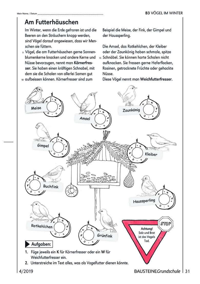 V gel im Winter Bausteine Grundschule  Sachunterricht 