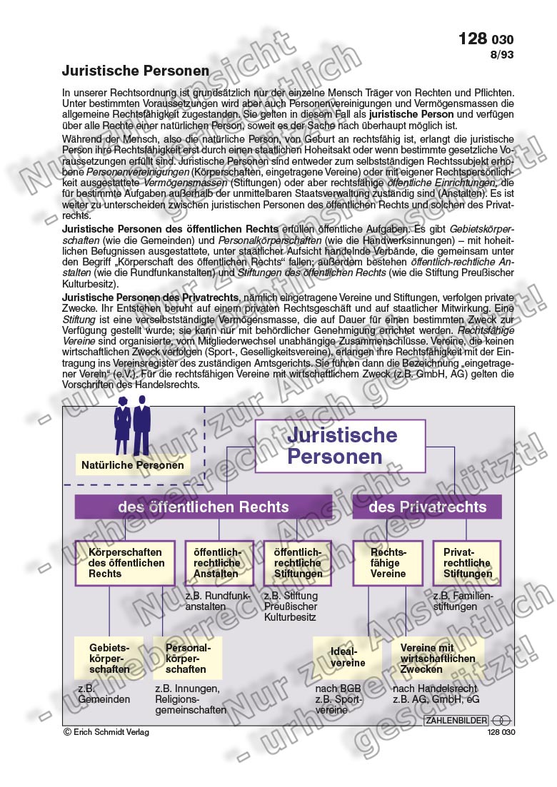 Juristische Personen | Zahlenbilder | Politik | Sekundarstufe II ...