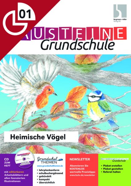 Heimische Vögel