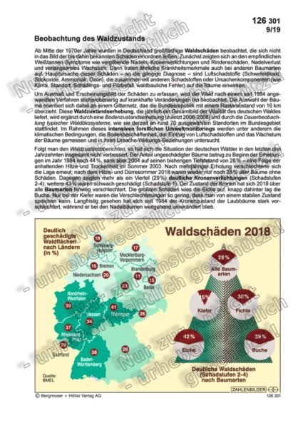 Beobachtung des Waldzustands