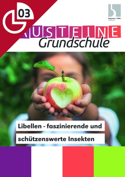 Libellen - faszinierende und schützenswerte Insekten