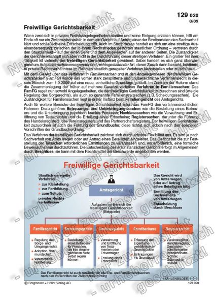 Freiwillige Gerichtsbarkeit