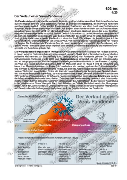 Der Verlauf einer Virus-Pandemie Der Verlauf einer Virus-Pandemie