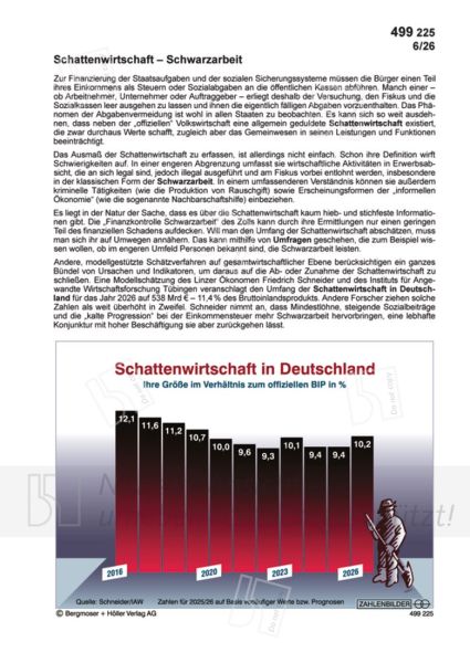 Schattenwirtschaft - Schwarzarbeit