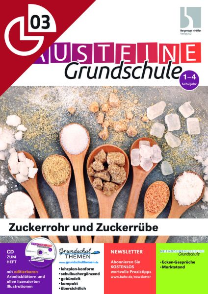 Zuckerrohr und Zuckerrübe