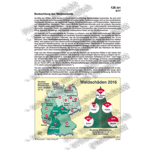 Beobachtung des Waldzustands