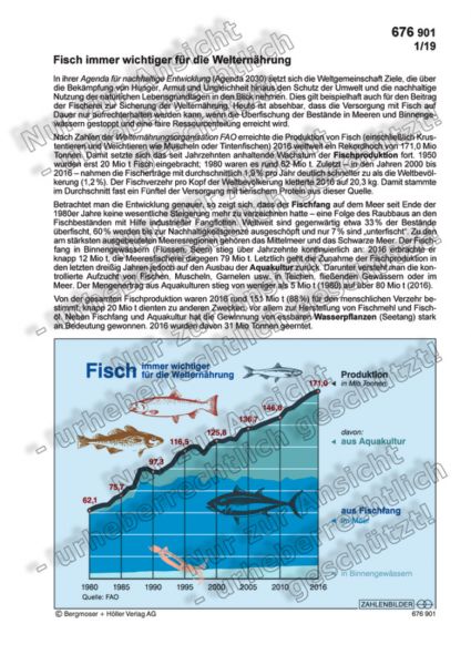 Fisch immer wichtiger für die Welternährung