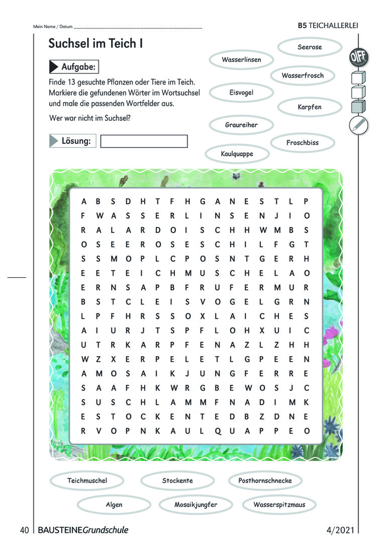 Teichallerlei Bausteine Grundschule Sachunterricht Grundschule