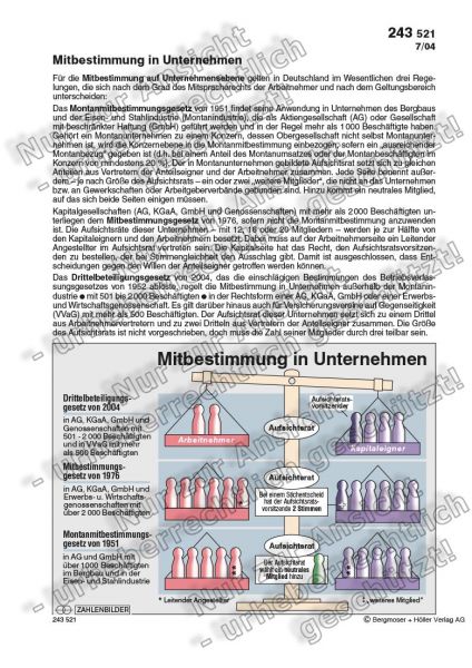 Mitbestimmung in Unternehmen
