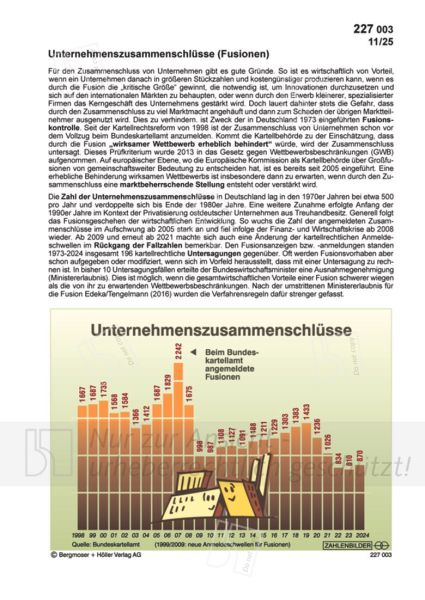 Unternehmenszusammenschlüsse (Fusionen)