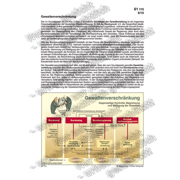 Gewaltenverschränkung