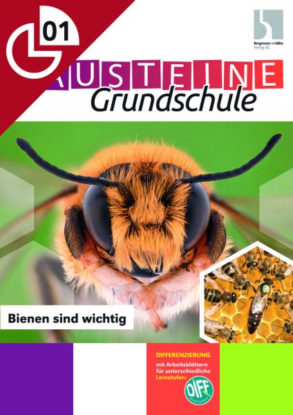 Bienen sind wichtig