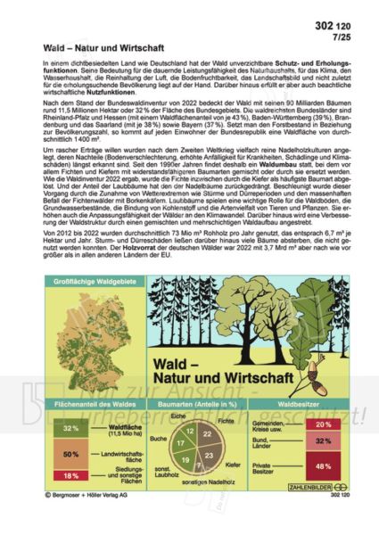 Wald - Natur und Wirtschaft