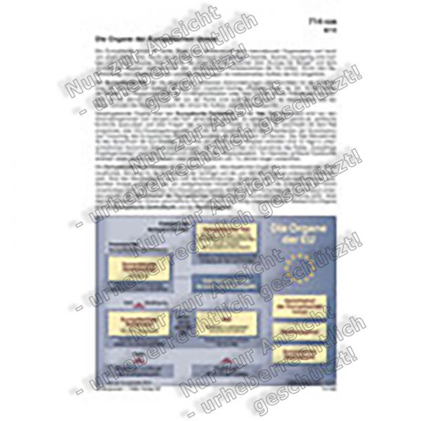 Die Organe der Europäischen Union