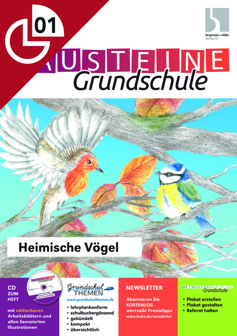 Heimische VÃ¶gel | Bausteine Grundschule | Sachunterricht