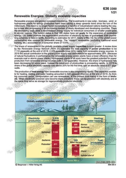 Renewable Energies: Globally available capacities