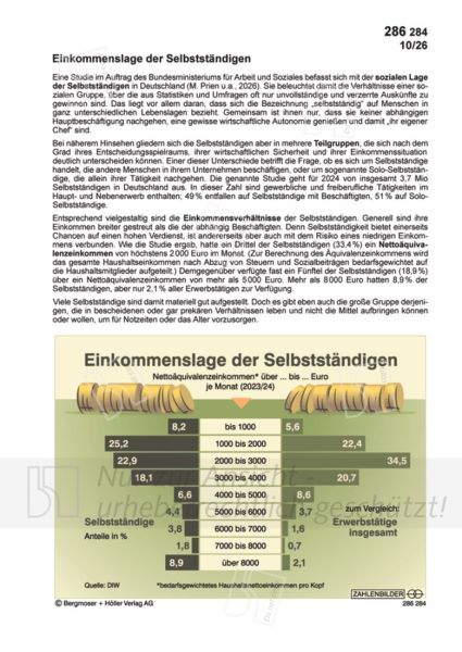 Einkommenslage der Selbstständigen